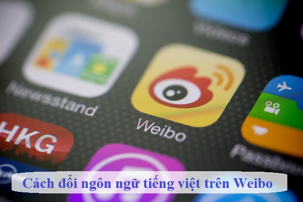 cach doi ngon ngu tieng viet tren weibo