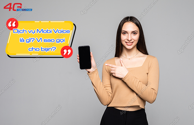 dich vu mobi voice