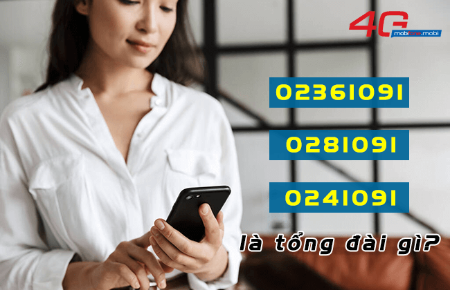 02361091 0281091 0241091 la tong dai gi