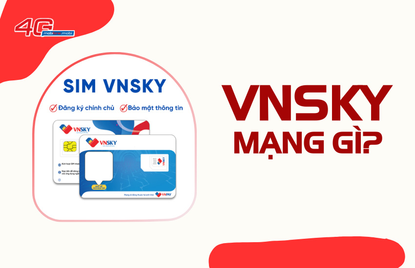 VNSKY la mang gi